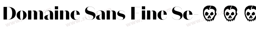 Domaine Sans Fine Se字体转换